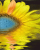 anim176220mobildesign.atw.hu_0228.gif
